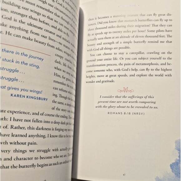 Box of Butterflies: Discovering the Unexpected Blessings All Around Us... - Picture 8 of 9